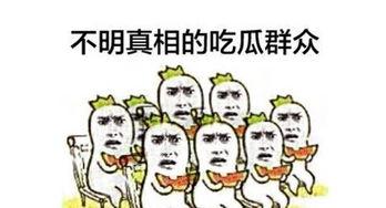 幸福吃瓜群众,揭秘网络时代的快乐源泉