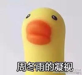 吃瓜了小黄鸭