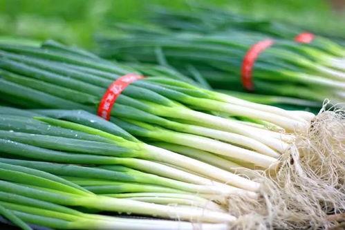 成县吃大瓜,大瓜的诱惑与魅力