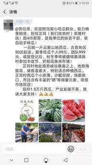 村里吃瓜群众文案范文,揭秘乡村生活那些事儿