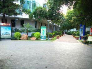 温馨家园小区吃瓜,吃瓜群众的热闹日常