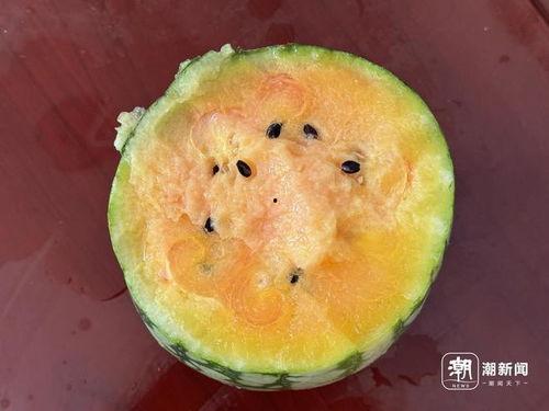 太空吃瓜,揭秘宇航员太空饮食新体验