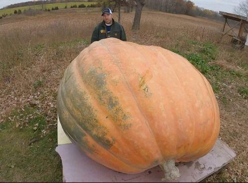 大可吃瓜,揭秘娱乐圈幕后故事