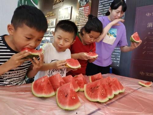 吃瓜亲子大赛,吃瓜大赛，亲子互动新风尚