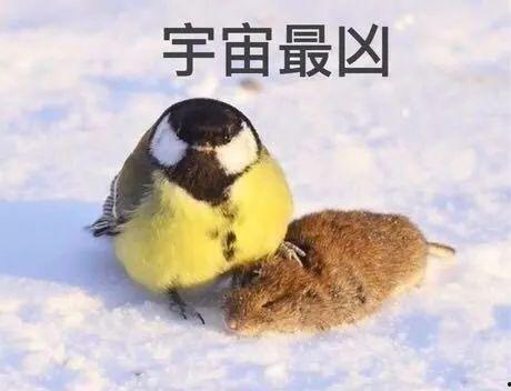 下雨吃瓜搞笑,笑谈人生