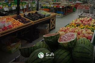 吃瓜群众瓜哥蔬菜