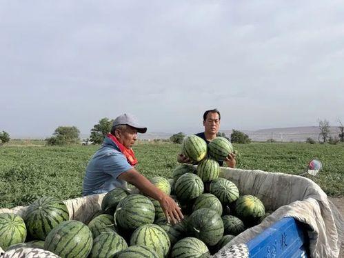 木乐吃瓜,揭秘娱乐圈那些不为人知的幕后故事