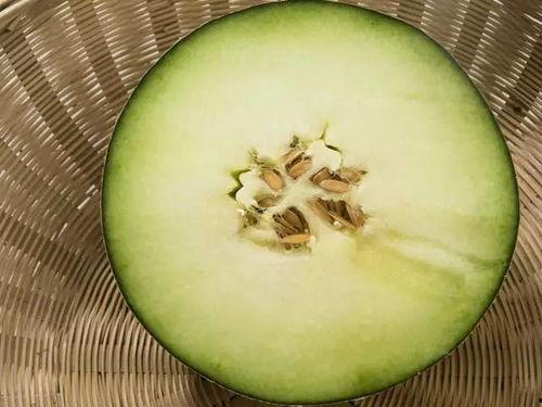 高蜜瓜怎么吃,解锁夏日清新美味
