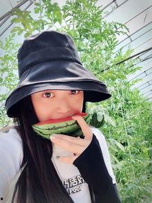 吃大瓜魔咒,揭秘网络流言背后的真相