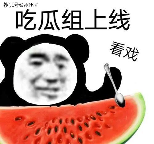 吃瓜后的报复,揭秘网络暴力的背后真相