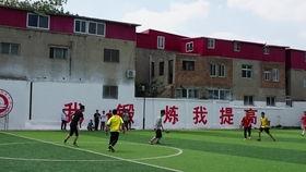 河大附中吃瓜,揭秘校园食堂风波背后的真相