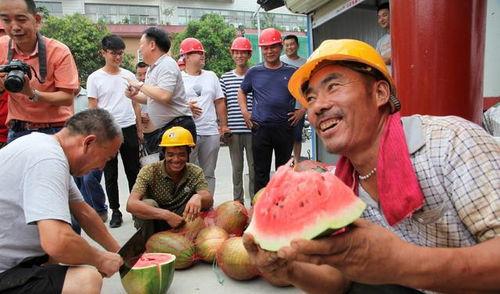 宁夏农民吃瓜事件视频,一场引发热议的乡村生活瞬间
