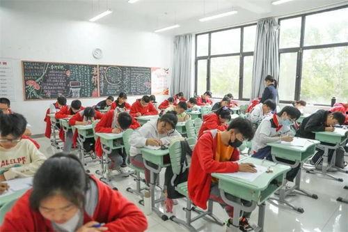 烟台职校吃瓜,揭秘校园生活趣闻