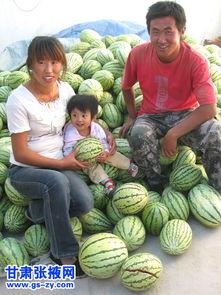 吃瓜家庭,揭秘娱乐圈背后的真实生活