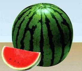 吃瓜家庭,揭秘娱乐圈背后的真实生活