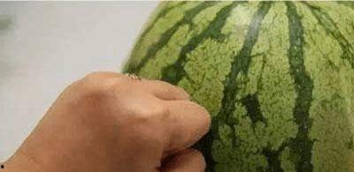 学会吃瓜的视频,揭秘娱乐圈幕后真相的趣味指南