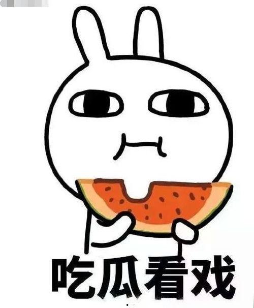 吃瓜访客,网络舆论场中的旁观者与参与者