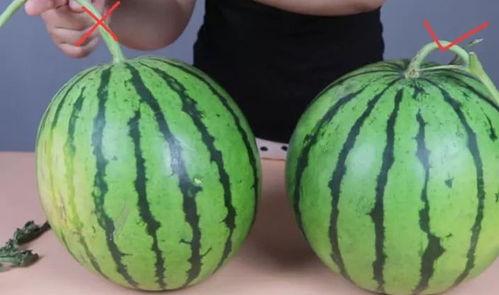 吃瓜新鲜事儿,最新娱乐圈新鲜事儿大盘点