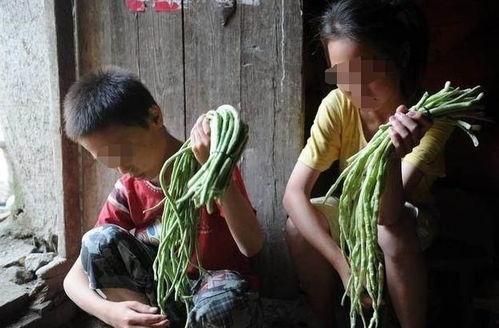 成都姐弟吃瓜睡觉,一场悠闲的夏日生活画卷