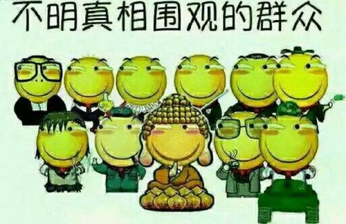 吃瓜的白牛,揭秘娱乐圈背后的那些事儿