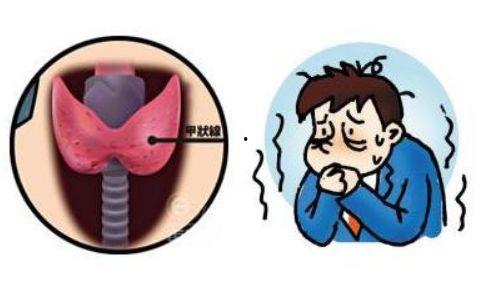 甲亢吃角瓜好吗,角瓜的营养与益处解析  第2张