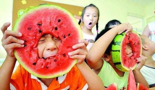 三生吃瓜全家吃瓜视频,全家共享瓜趣时光 第3张 三生吃瓜全家吃瓜视频,全家共享瓜趣时光 第3张