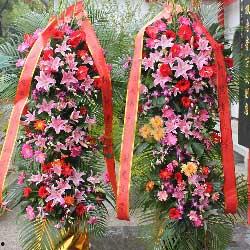 保定吃瓜花店,品味生活，尽享花语时光  第1张