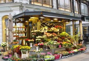 保定吃瓜花店,品味生活，尽享花语时光  第3张