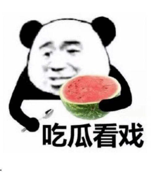 雪中悍刀行吃瓜表情包 第2张 雪中悍刀行吃瓜表情包 第2张