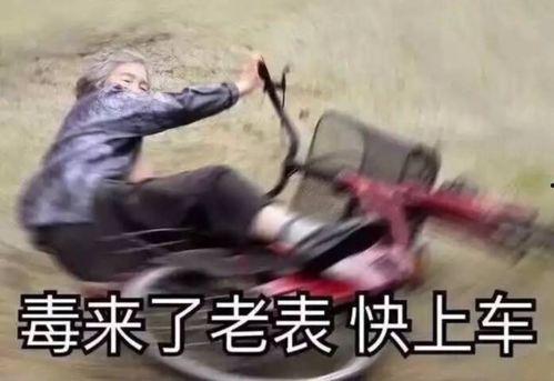 雪中悍刀行吃瓜表情包 第3张 雪中悍刀行吃瓜表情包 第3张