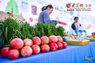 河口区吃瓜,夏日消暑美食之旅 第2张 河口区吃瓜,夏日消暑美食之旅 第2张