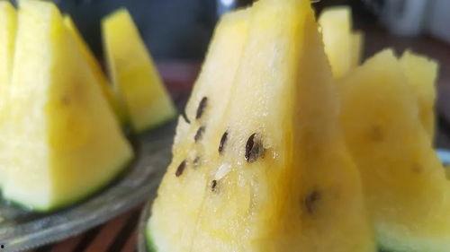 上海学姐吃瓜事件,网络舆论的狂欢与反思