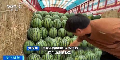 鬼火吃瓜,揭秘神秘现象背后的真相