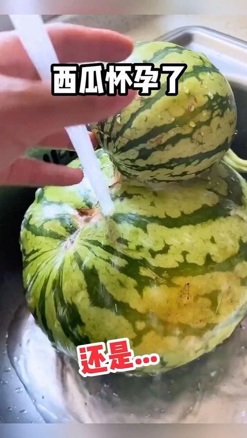 壁纸吃瓜视频  第3张