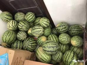 吃瓜群huang,揭秘吃瓜群背后的狂欢与争议  第3张