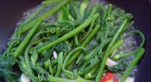 小焦在线吃瓜,揭秘娱乐圈幕后故事  第2张