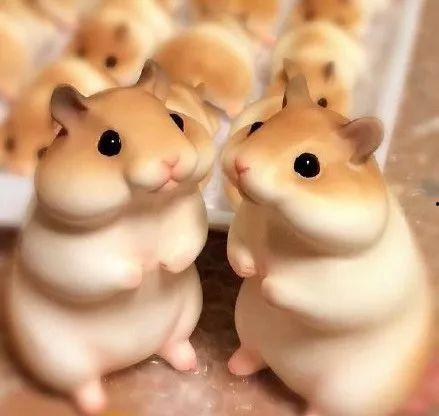 吃瓜狂笑图,网友直呼太欢乐