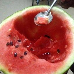 吃瓜大赛素材视频