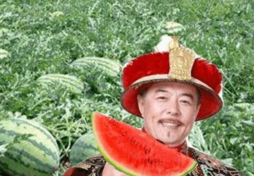 夏洛特路边吃瓜,瓜摊热议，市民生活百态尽收眼底  第1张