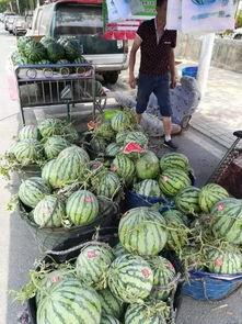 蓉城花园小区吃瓜事件  第2张