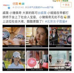 吃瓜猪娱乐视频