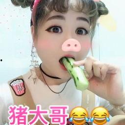 吃瓜猪娱乐视频  第3张