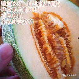 吃瓜吗 这瓜超甜的 第2张 吃瓜吗 这瓜超甜的 第2张