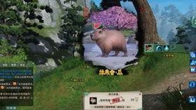 奇遇任务 吃瓜,吃瓜背后的神秘故事  第1张