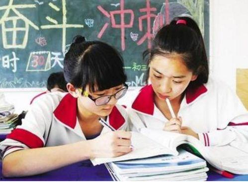吃瓜吃到小学老师,一场意外的教育风云  第3张