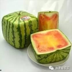 奢侈吃瓜,揭秘奢侈吃瓜背后的故事