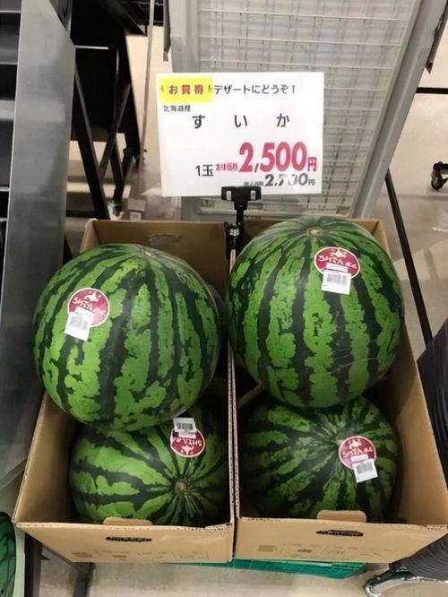 奢侈吃瓜,揭秘奢侈吃瓜背后的故事 第3张 奢侈吃瓜,揭秘奢侈吃瓜背后的故事 第3张